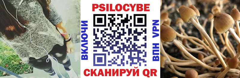 Галлюциногенные грибы мухоморы  Купить где  Белгород 