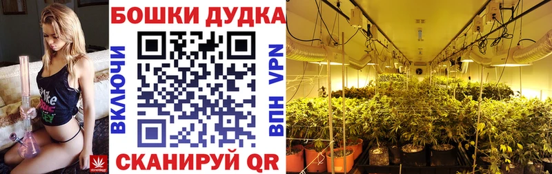 Бошки Шишки Bruce Banner  Купить закладки  Белгород 
